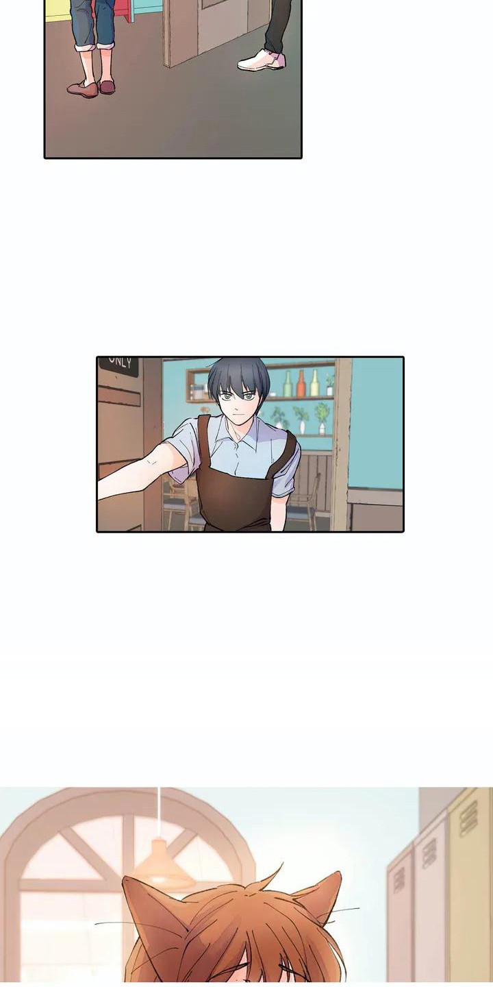 第6章：耳朵9