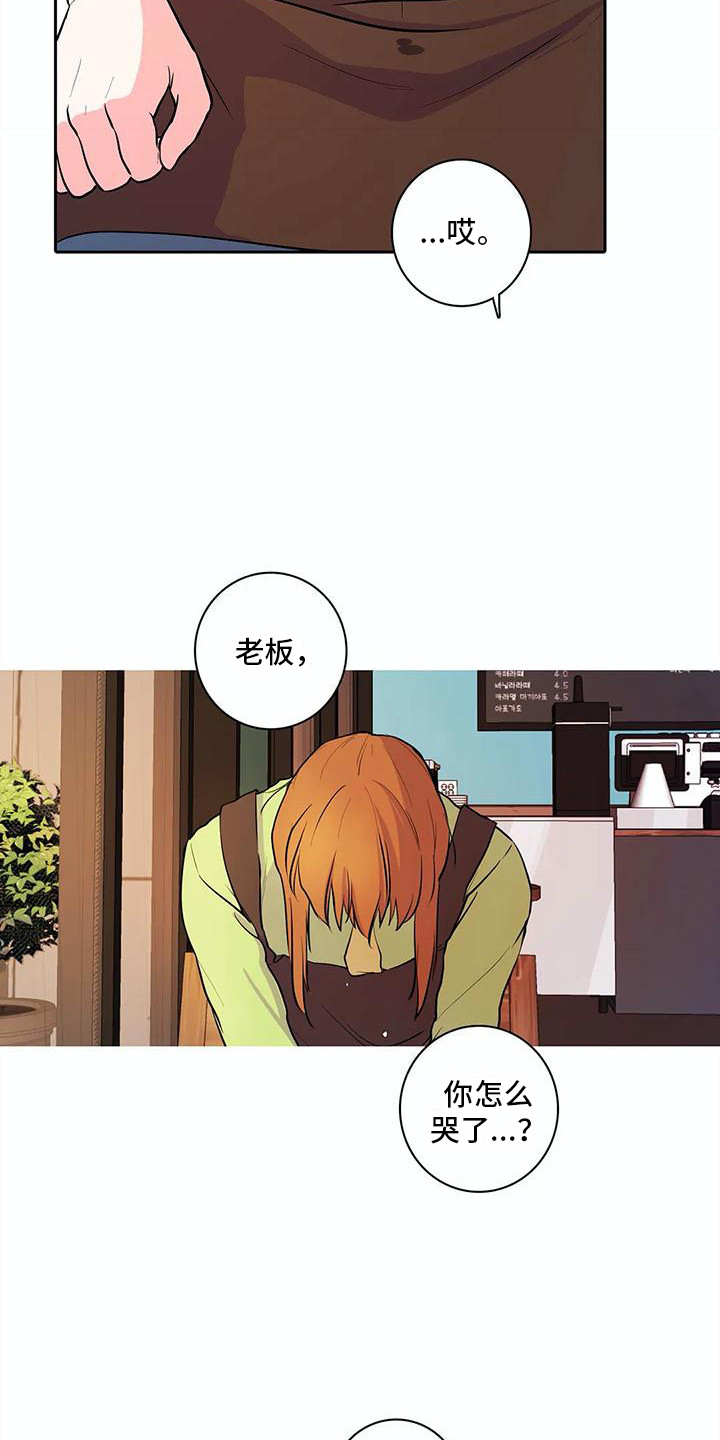 第34章：表白11
