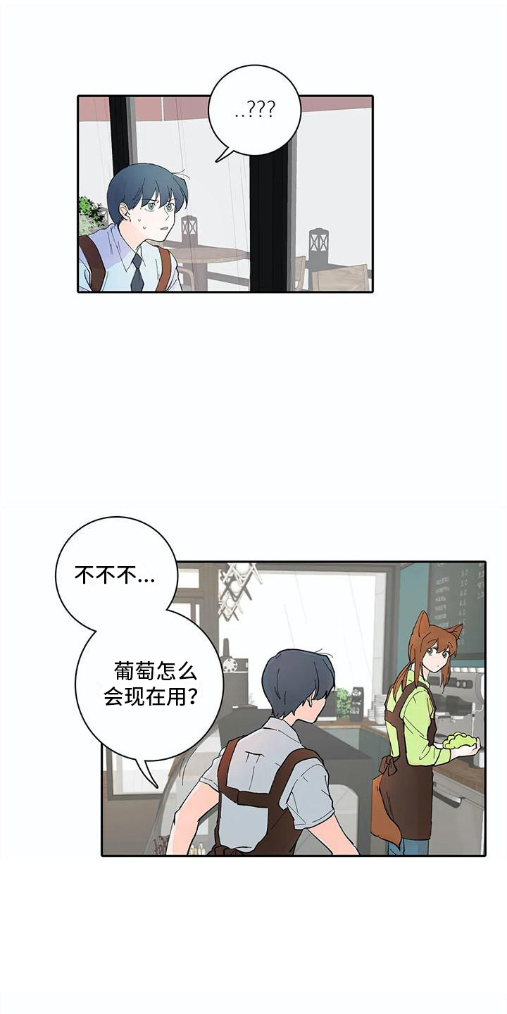 第11章：步骤15