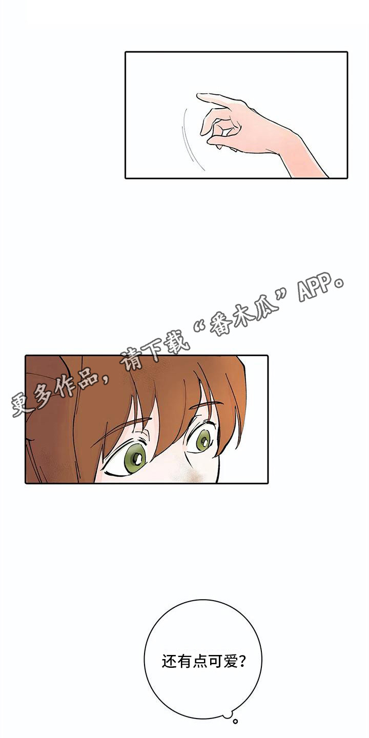 第11章：步骤4