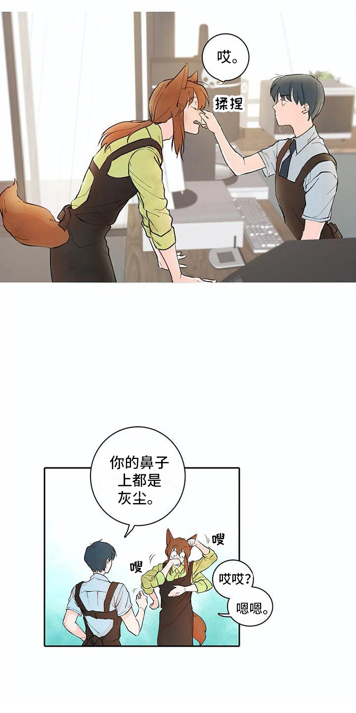 第11章：步骤5