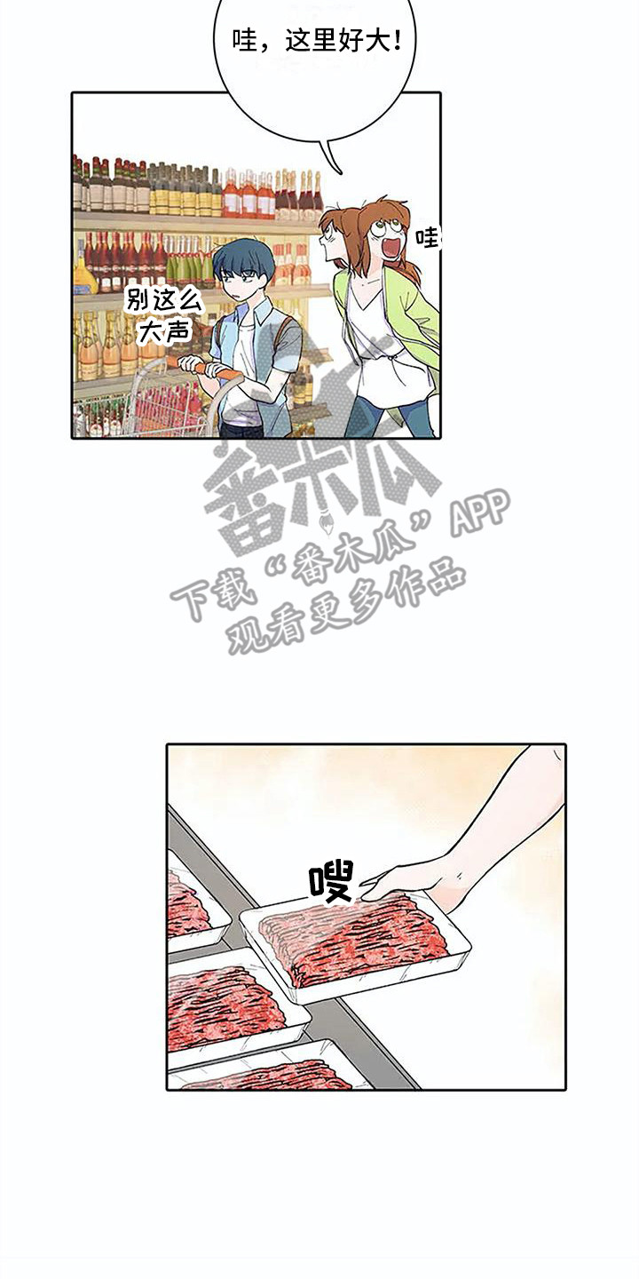 第12章：问题很大13