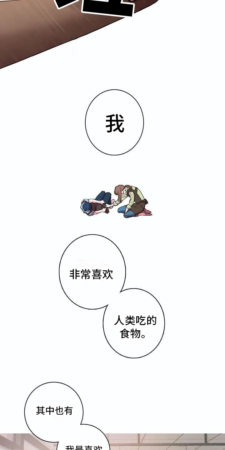 第8章：梦想3