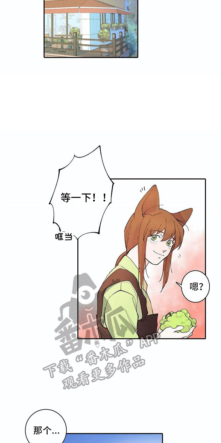 第11章：步骤13