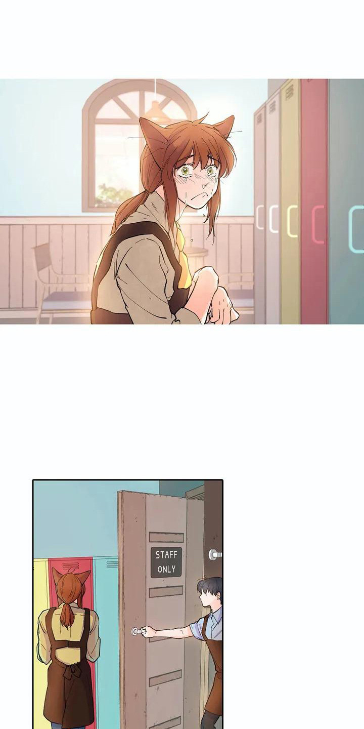 第6章：耳朵8
