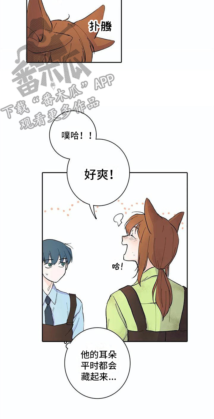 第10章：大扫除15