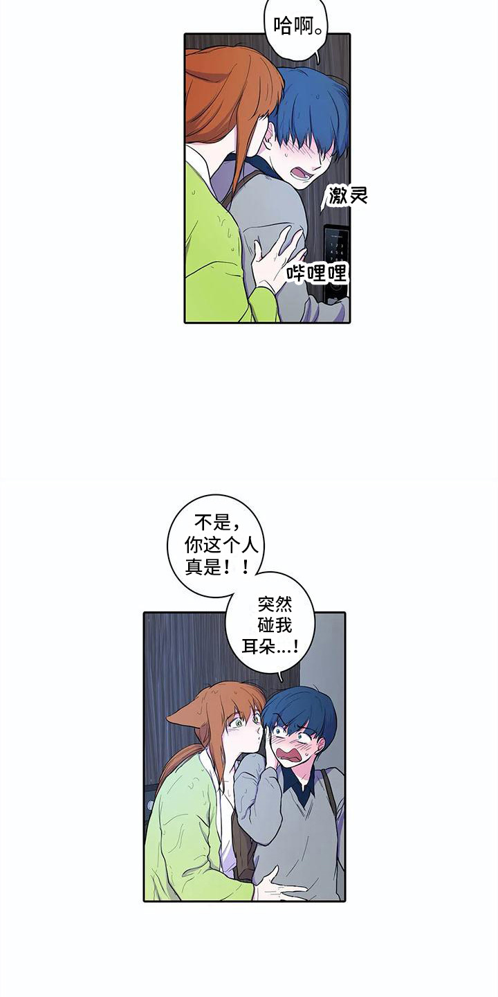 第37章：忐忑6