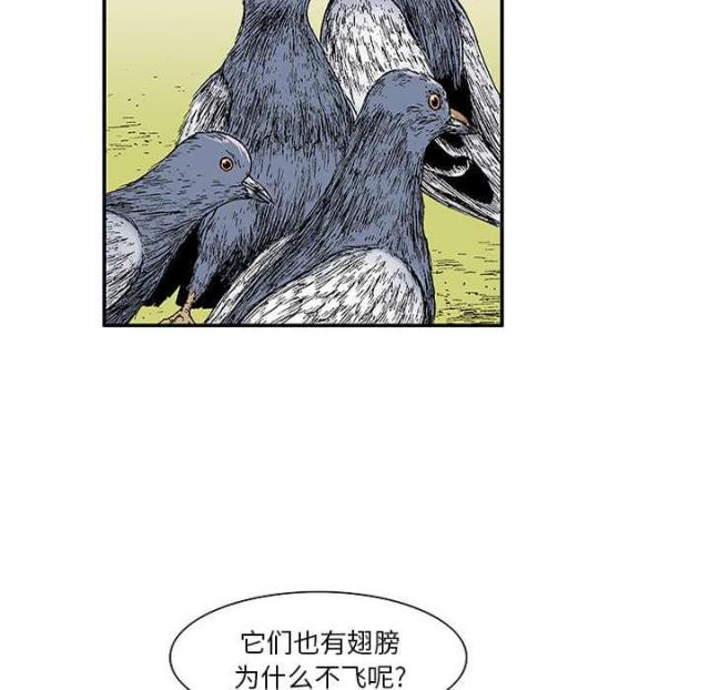 第43话9