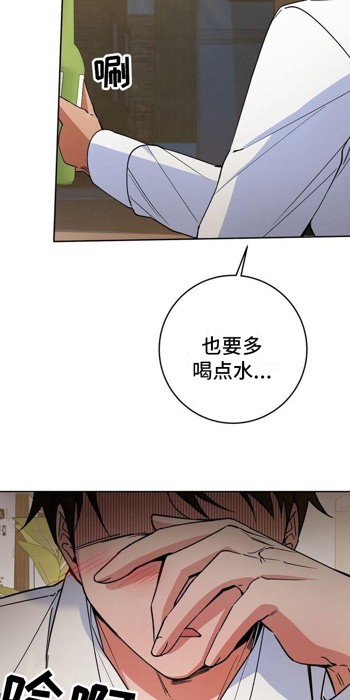 第25章：醉倒11