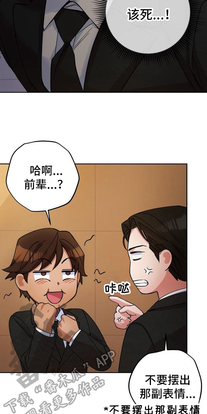第19章：手段11