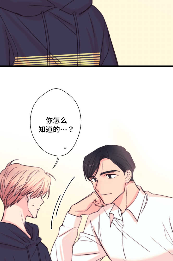 第19章：约定1