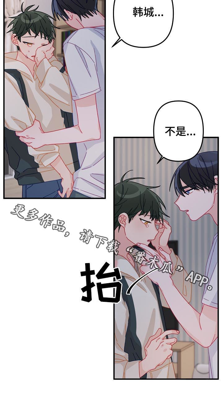 第31章：我算什么10