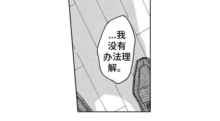 第2章：没法理解11