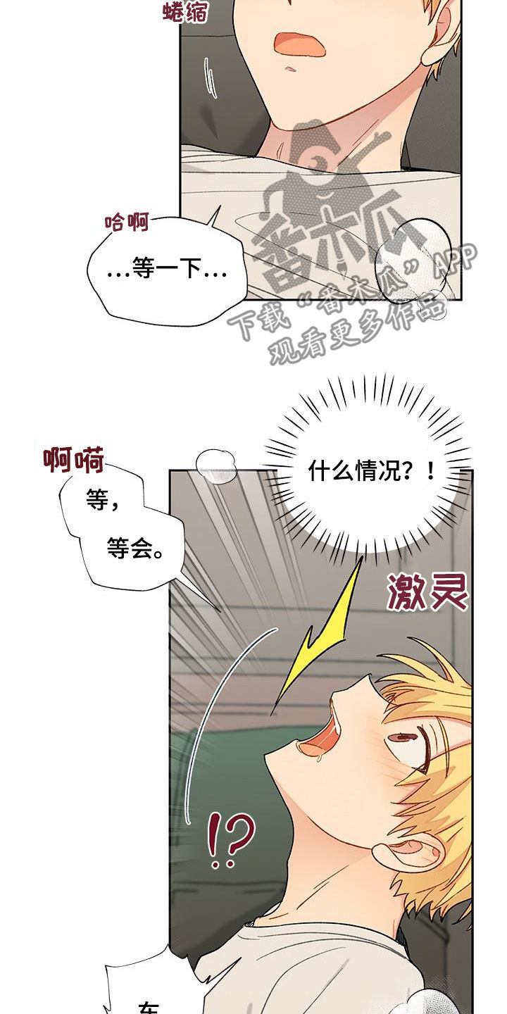 第37章：住手3