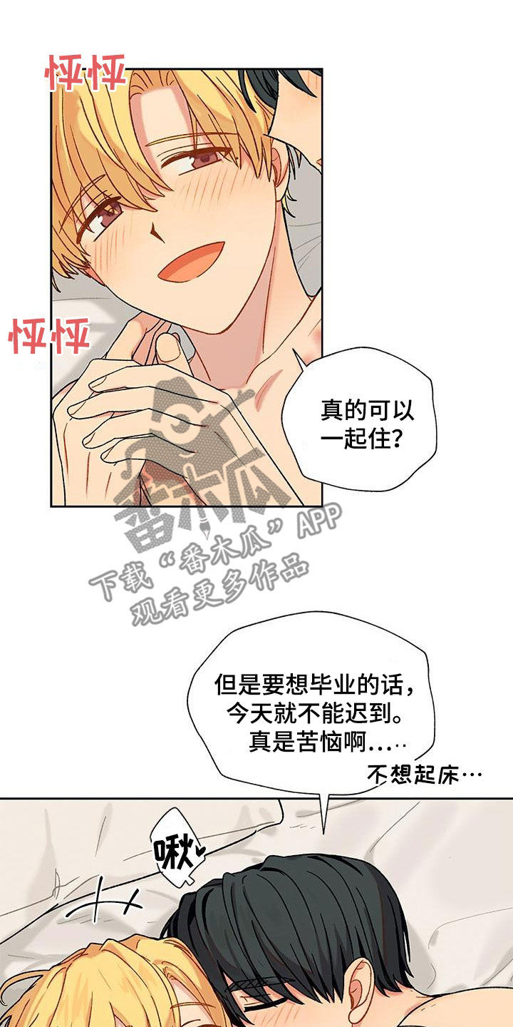 第60章：香草味（完结）19