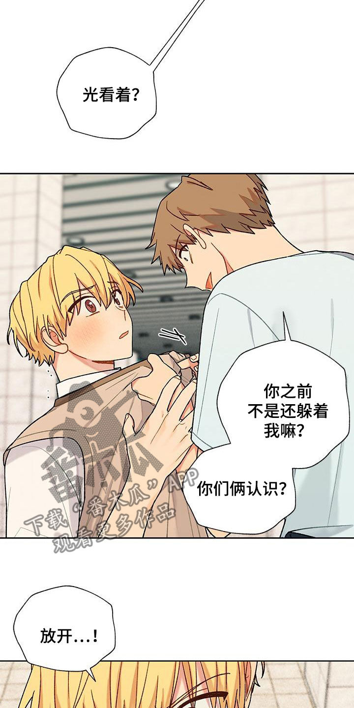第53章：掺和17