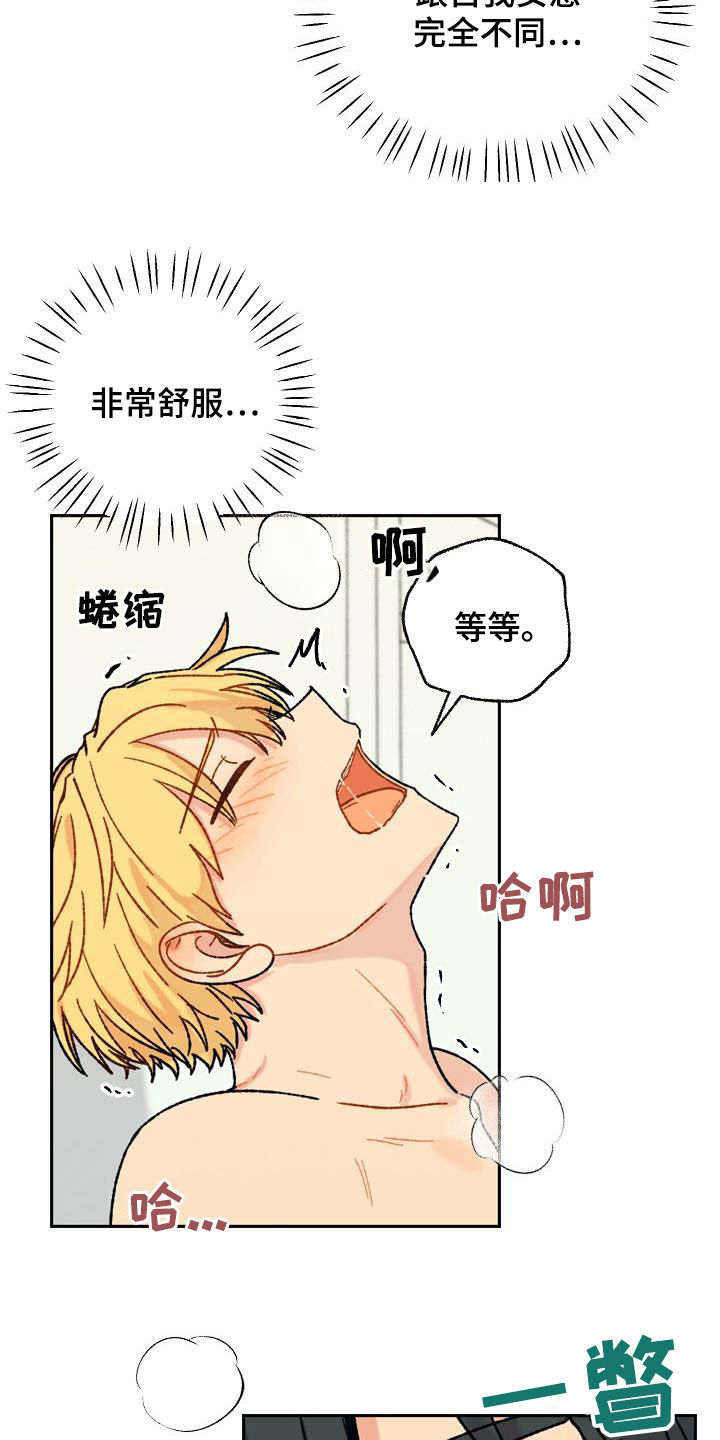 第17章：我帮你16
