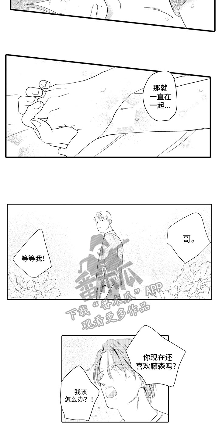 第19章：支持10