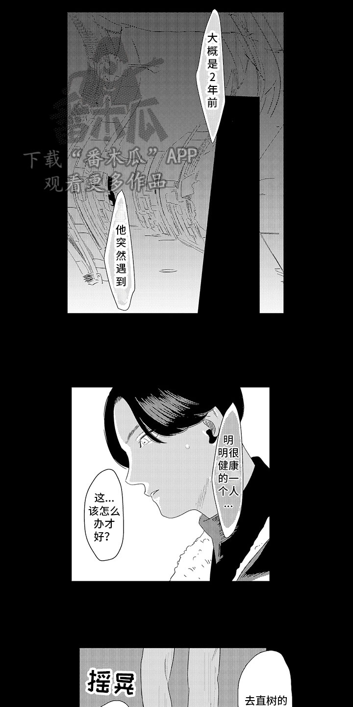 第13章：关系5