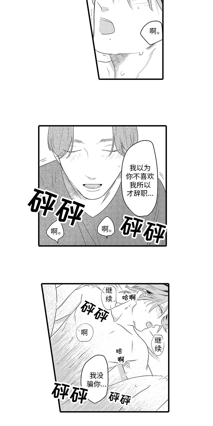 第19章：支持6