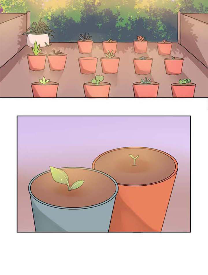 第3章：草神救我！7