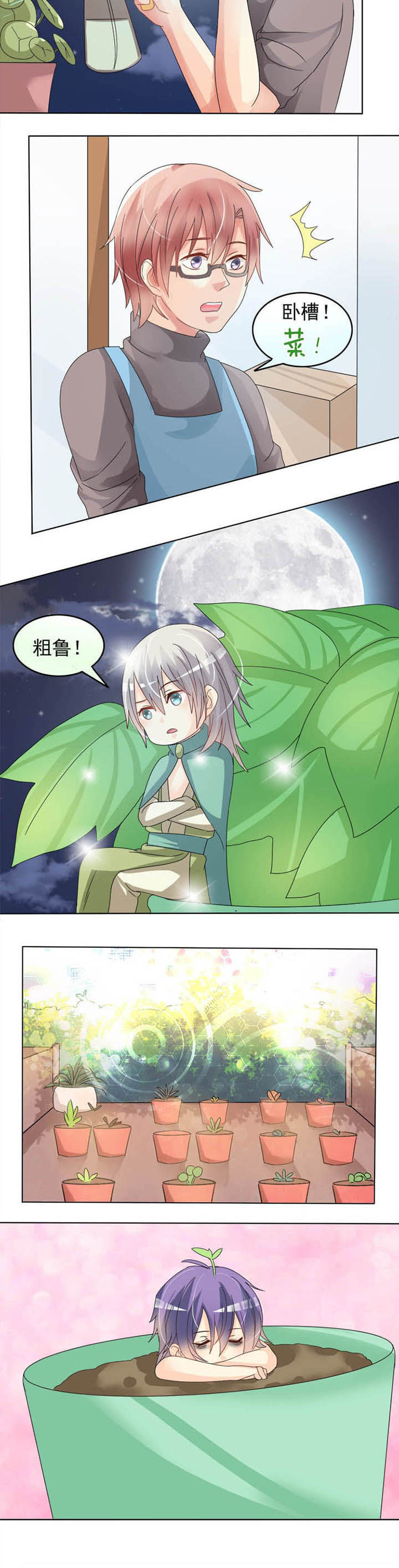 第16章：植物神灵5