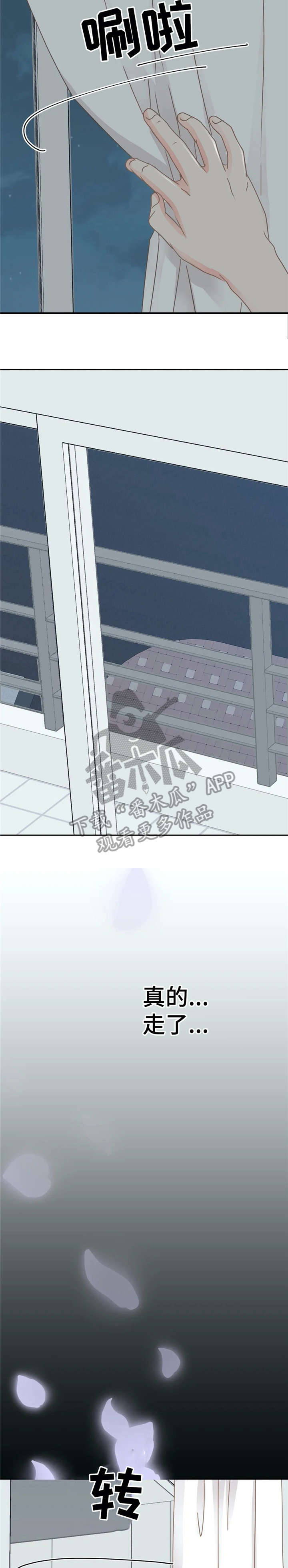 第29章：嘘11