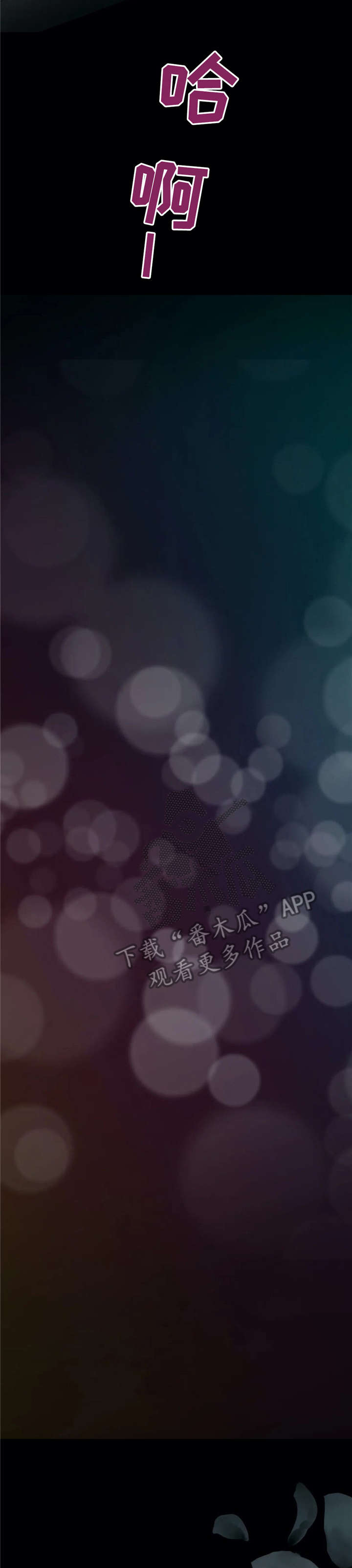 第23章：没做过11