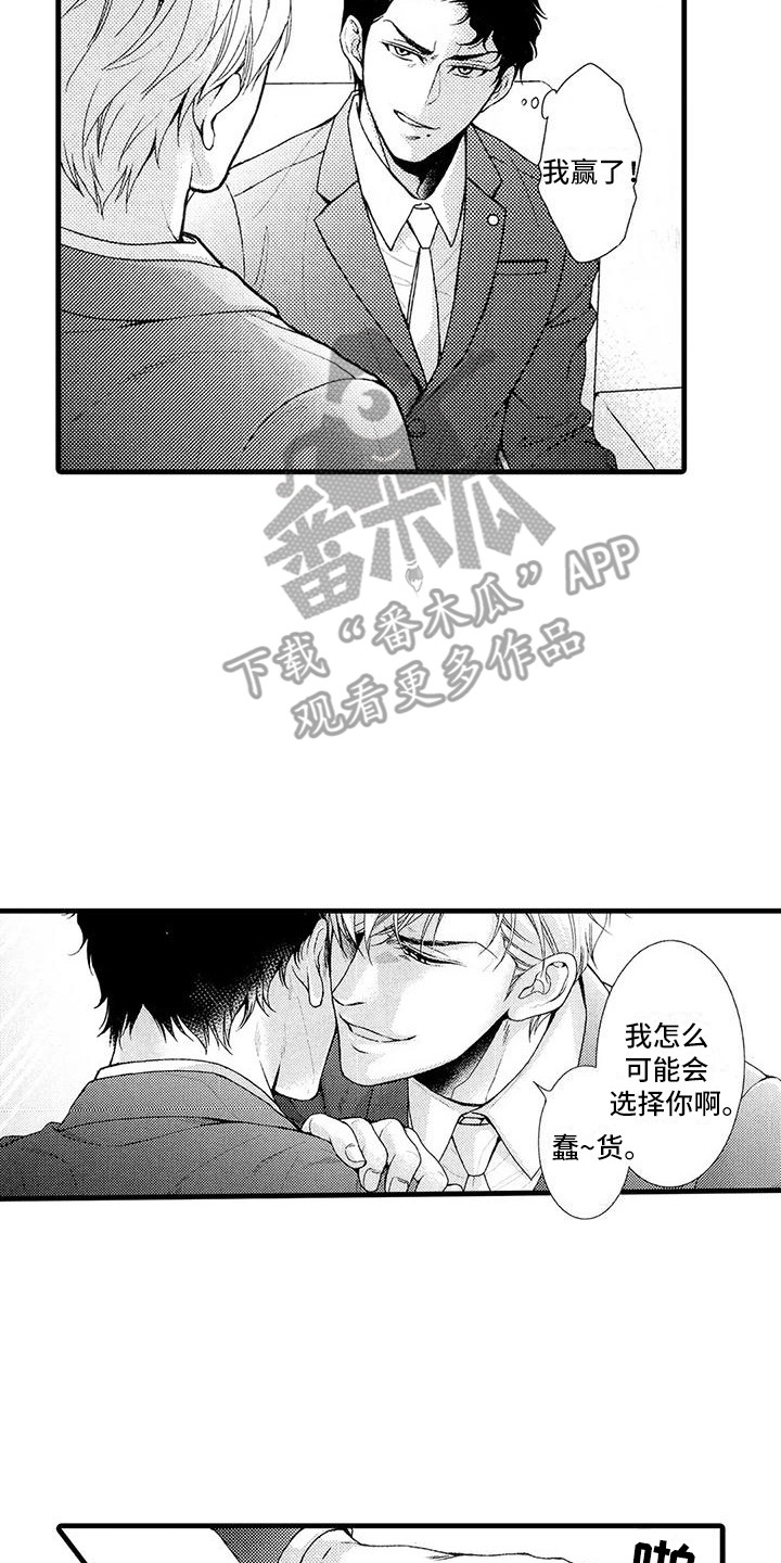 第25章：选择11