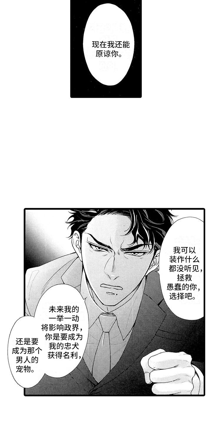 第25章：选择8