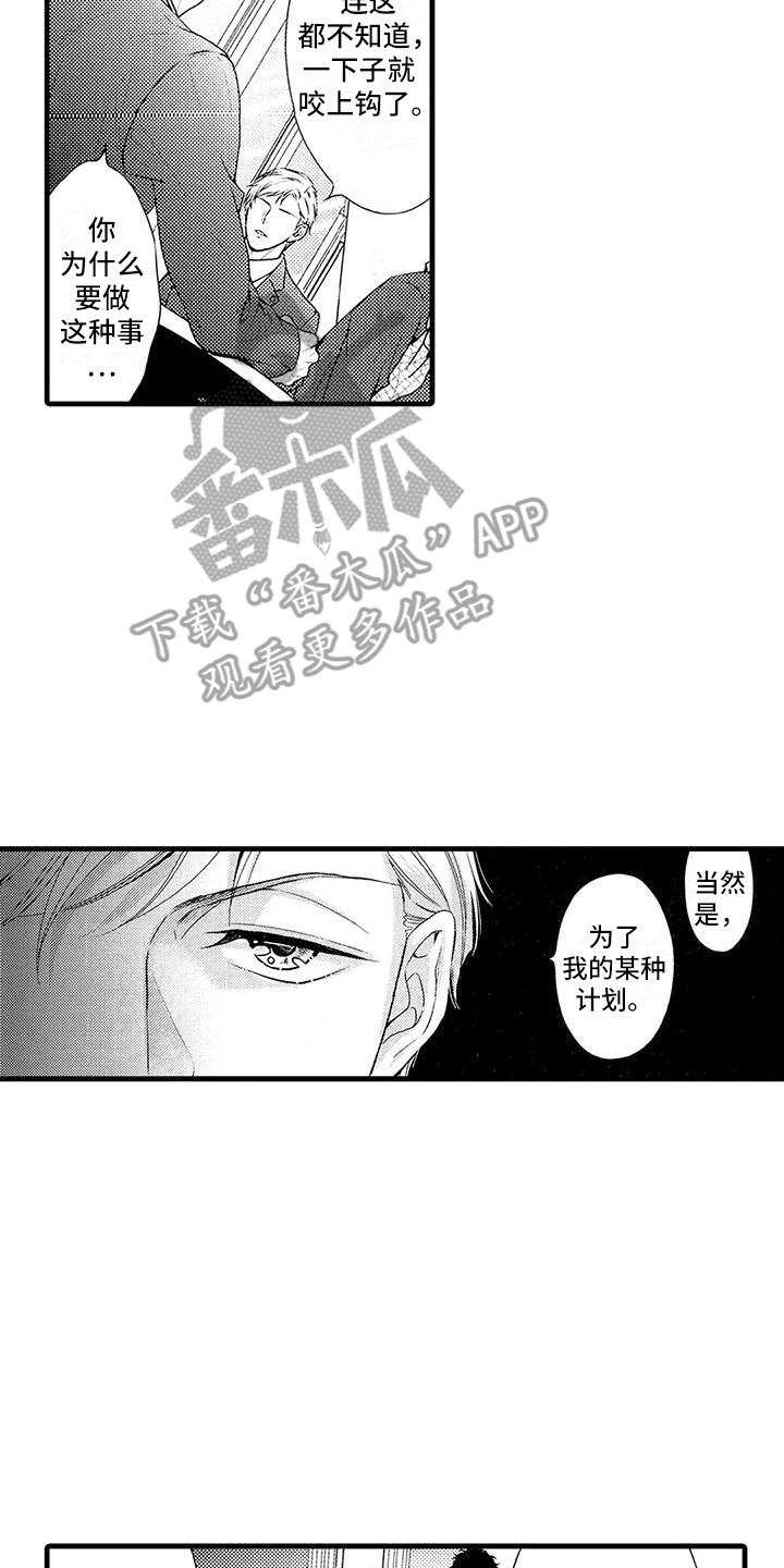 第25章：选择5