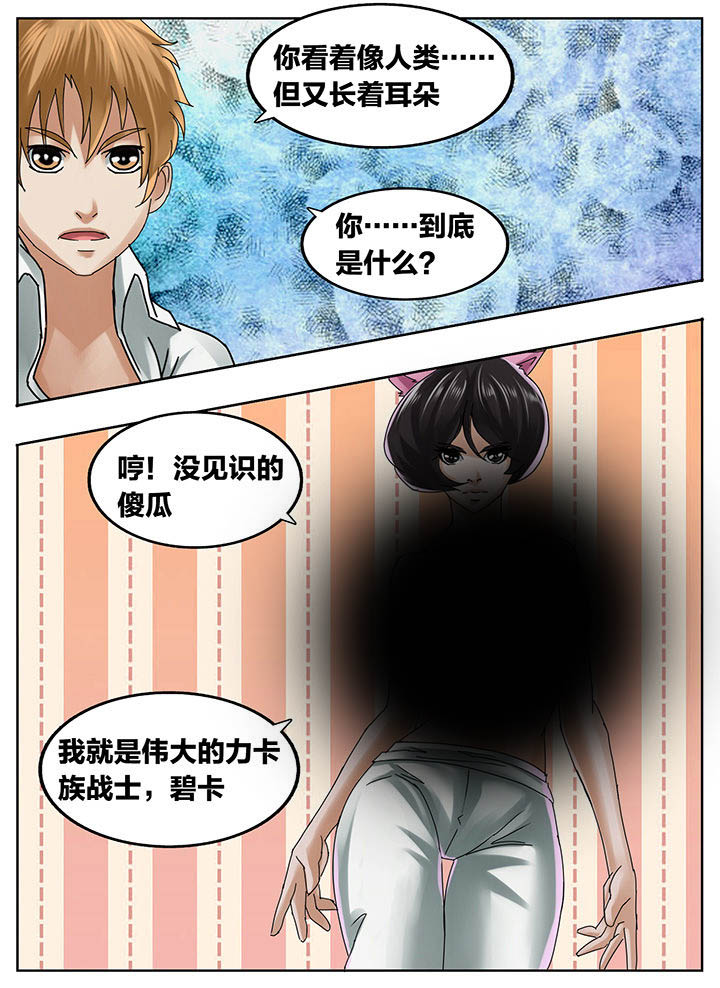 第203章：9