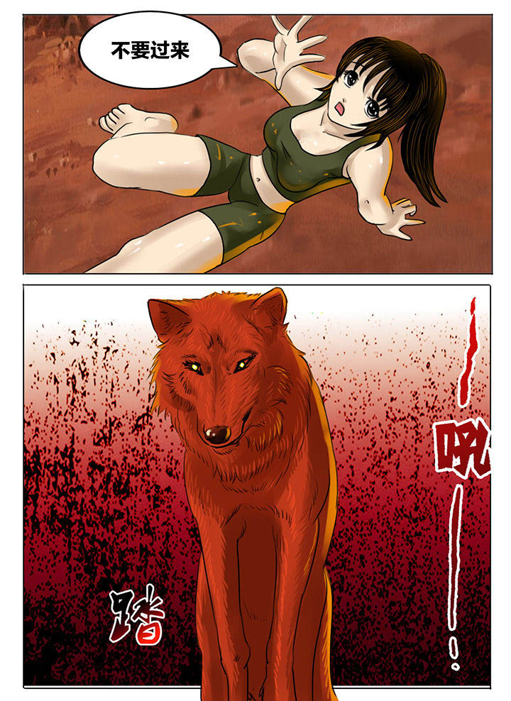 第187章：3