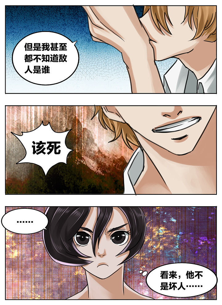 第204章：11
