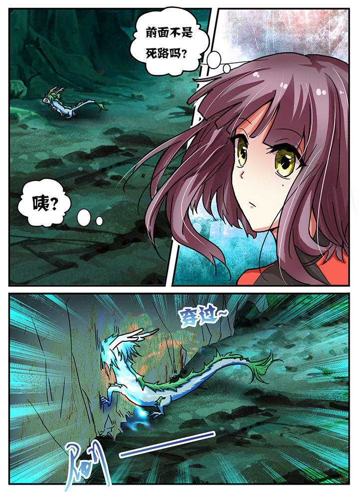 第55章：4