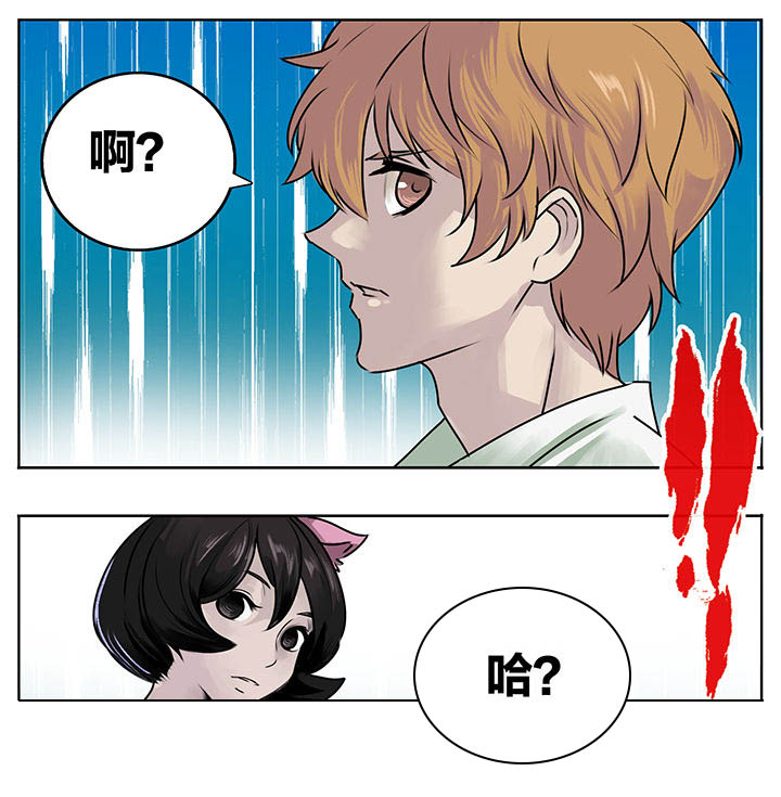 第212章：6