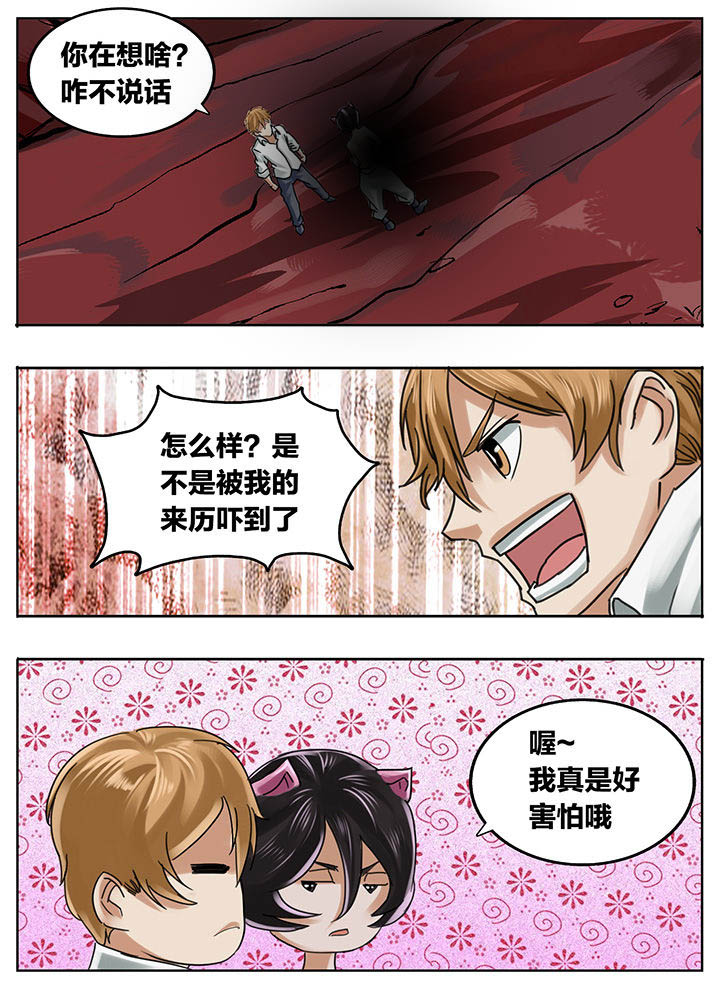 第204章：8