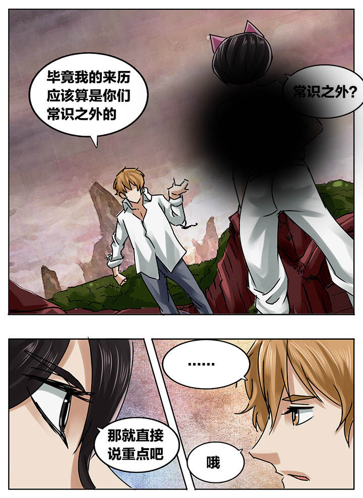 第204章：5