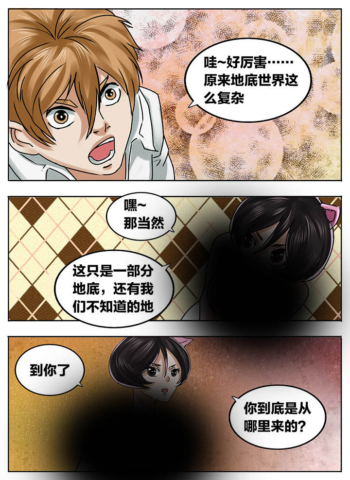 第204章：3