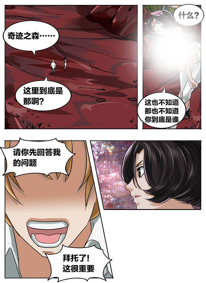 第203章：11