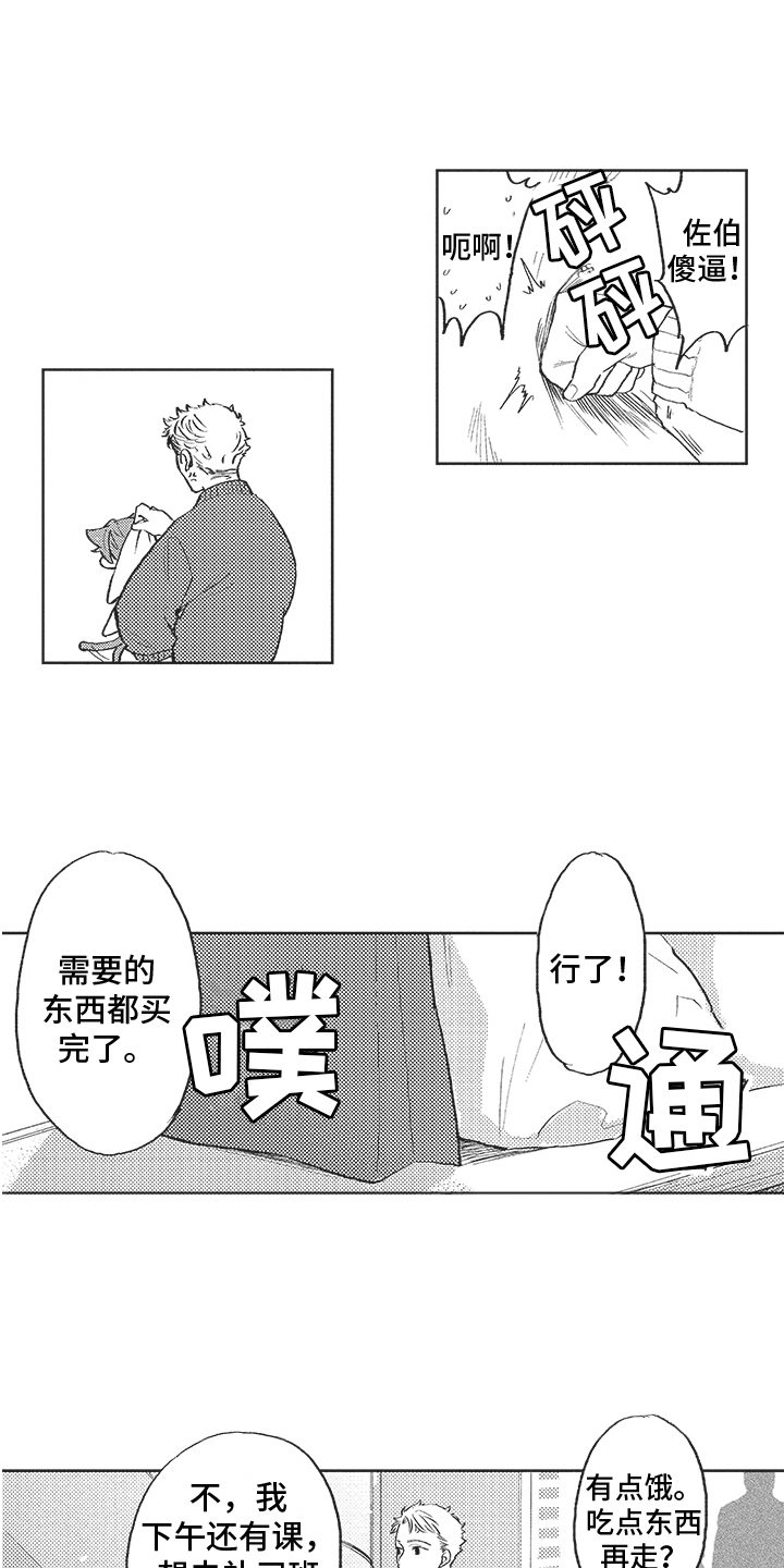 第14章：试探11