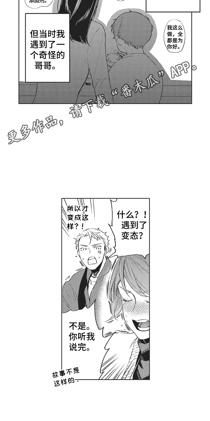 第17章：解释10