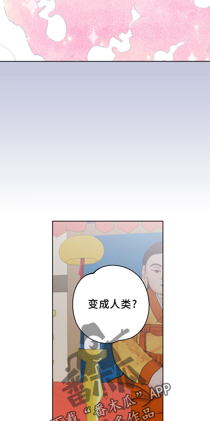 第46章：最好的办法17