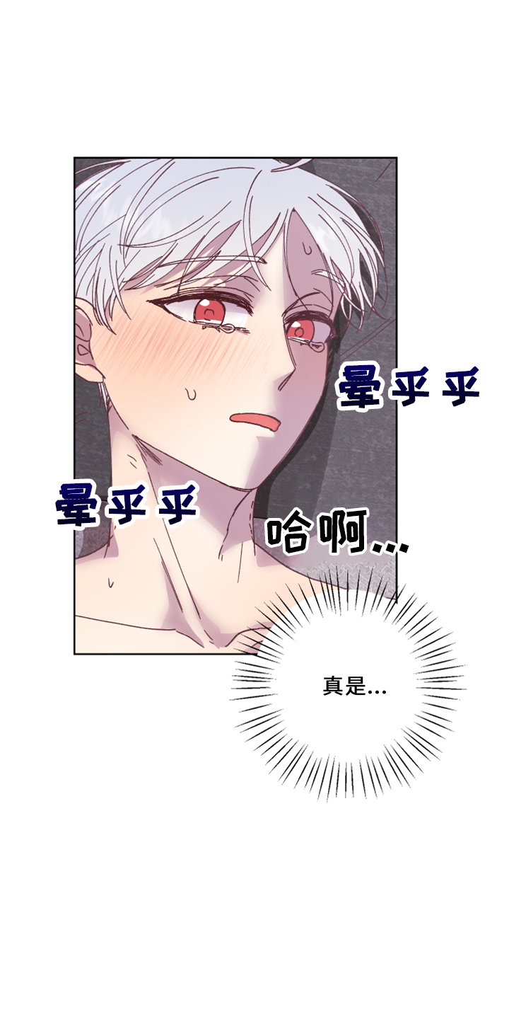 第18章：没情调24