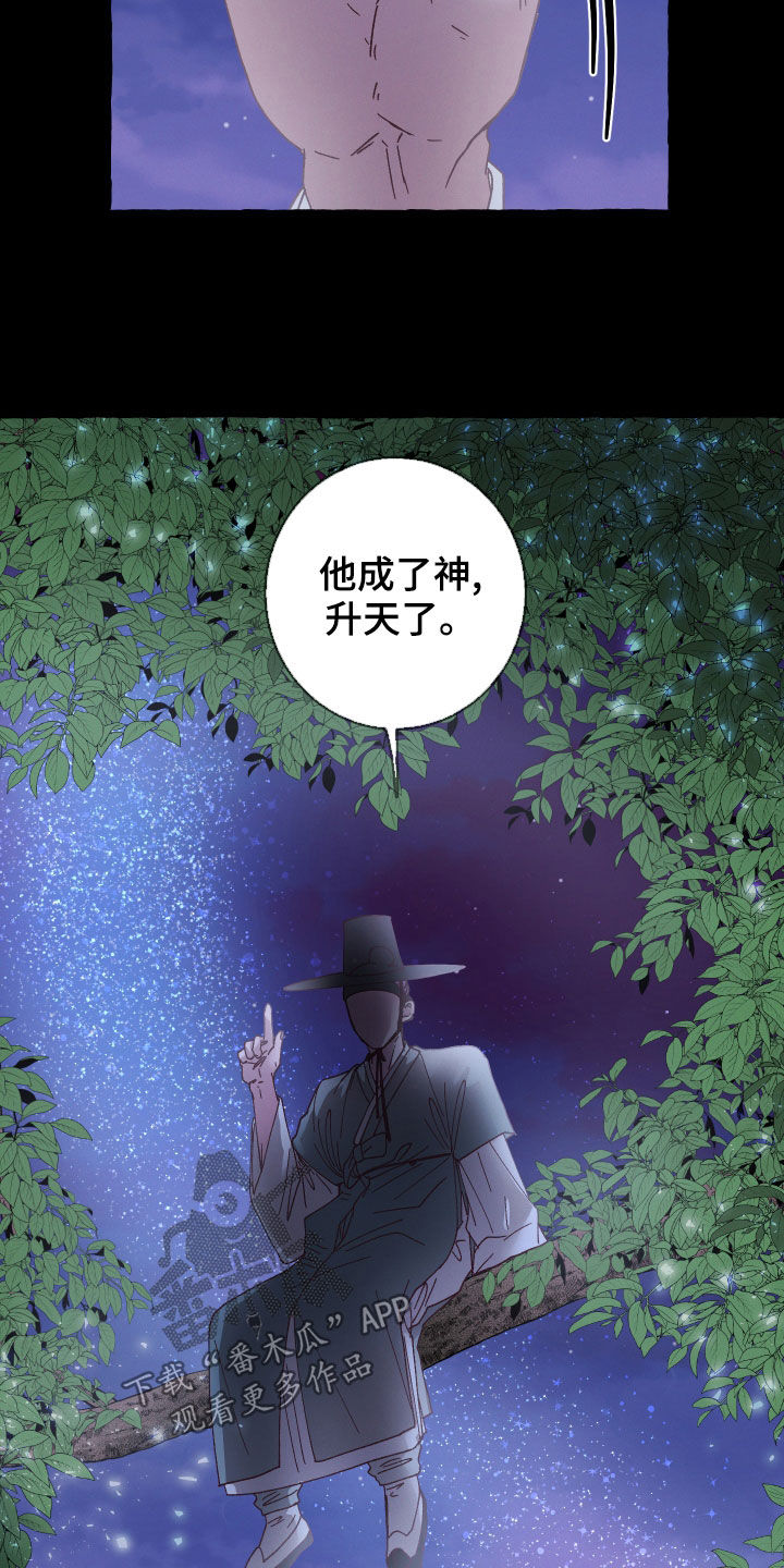 第25章：条件16