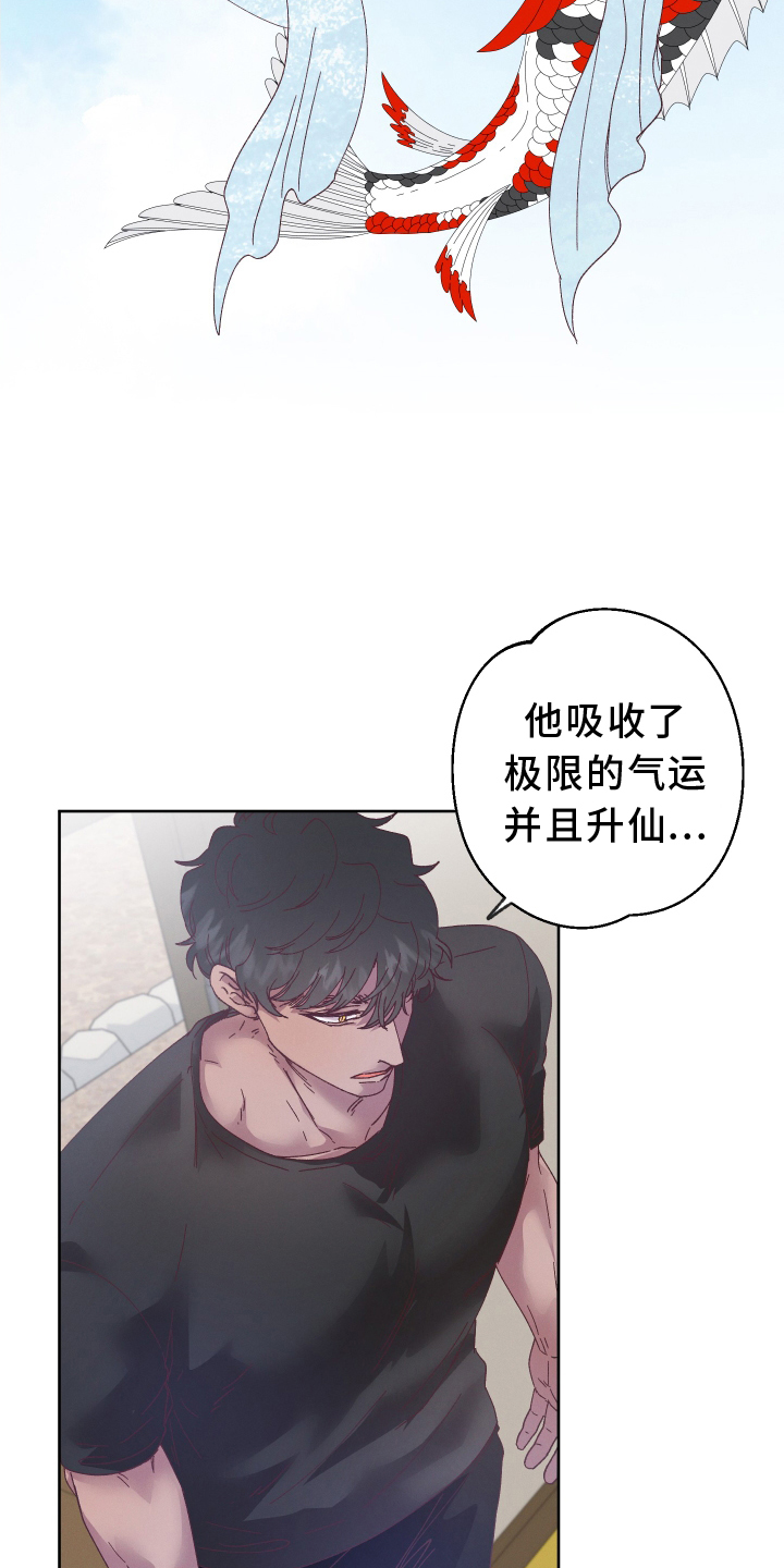 第46章：最好的办法11