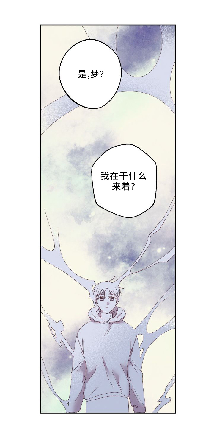 第54章：保护10