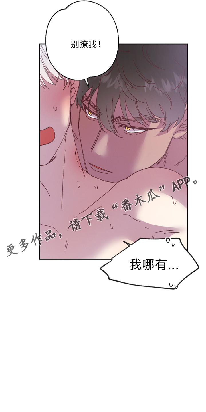 第18章：没情调12