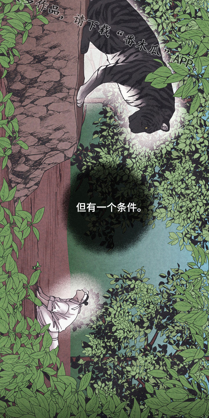 第25章：条件28