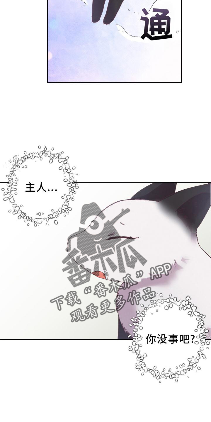 第49章：误会24